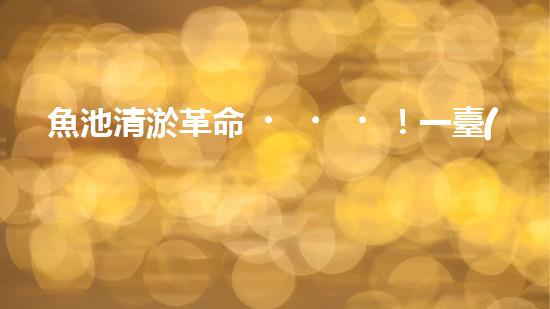 魚池清淤革命！一臺(tái)設(shè)備解決淤泥難題，你敢相信嗎？